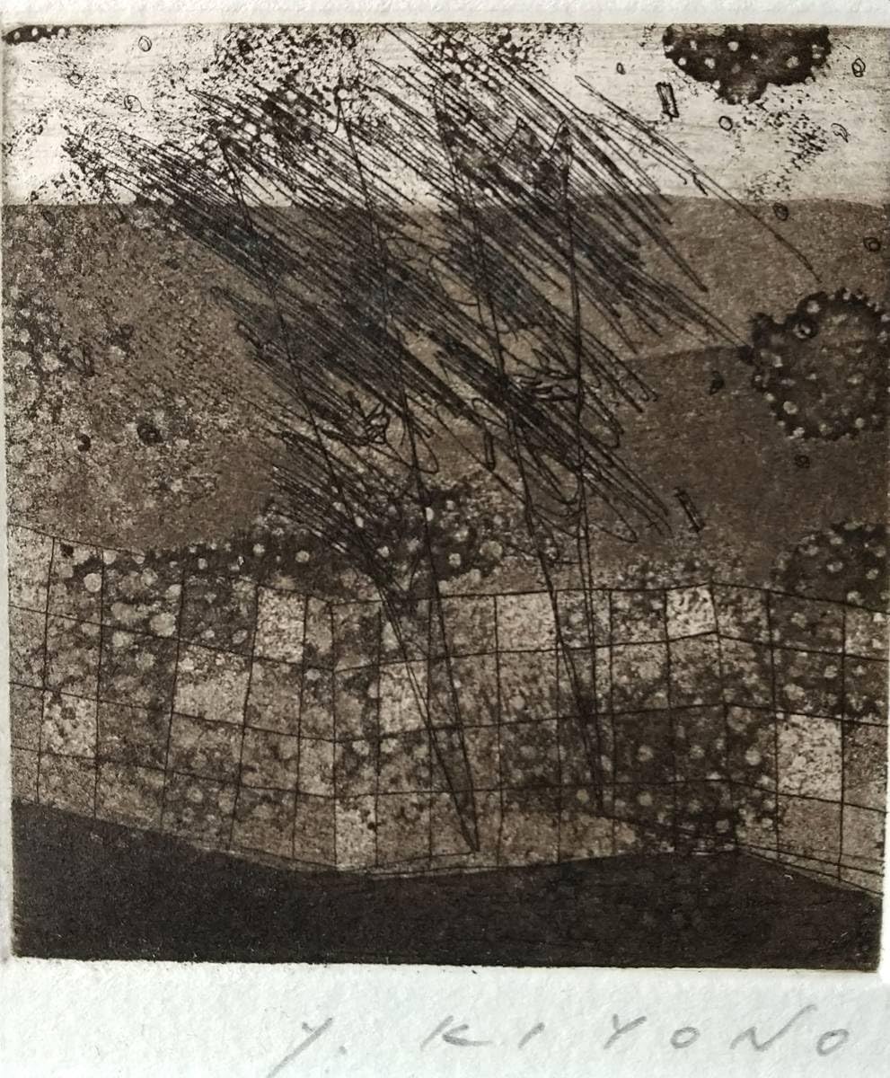 Amazon.co.jp: 清野泰行 銅版画 東京藝術大学 ATELIER C-126